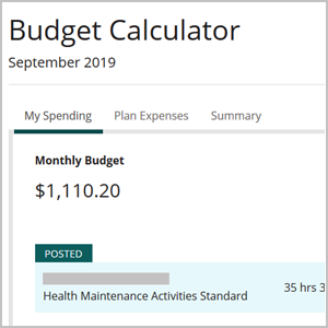 Budget calculator tool for people that need care so they can track their expenses